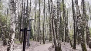 48-летняя свекровь уволилась и поставила сына с невесткой перед фактом, что те должны ее содержать.