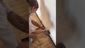 Ремонт в съемной квартире. Четверг 23 мая