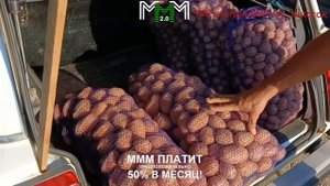 Крым. Оптовый рынок. Желябовка. Цены от 20.08.24