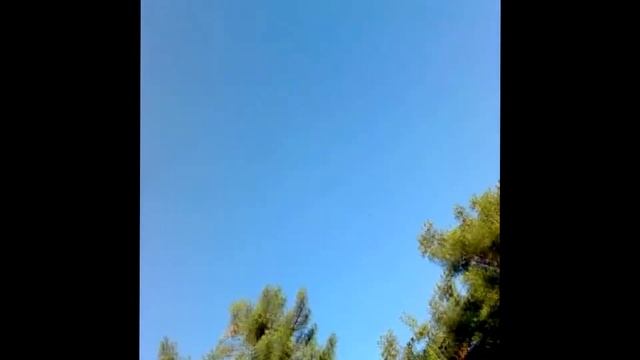 Добро пожаловать на пляж!!! смотреть онлайн