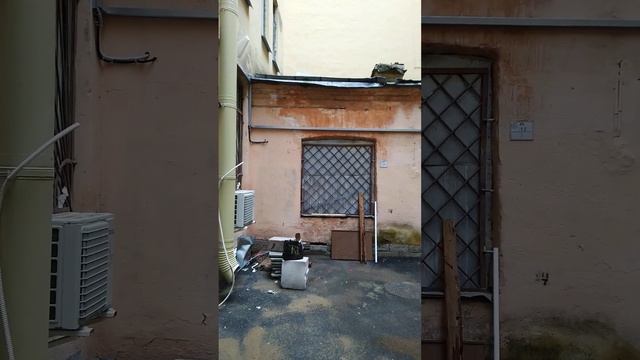 Странные объекты в питерских дворах центрального района агентство недвижимости Бенуа смотреть онлайн
