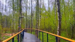 Дорогая, мама сказала ты слишком много тратишь своих денег, ей на жизнь не хватает.