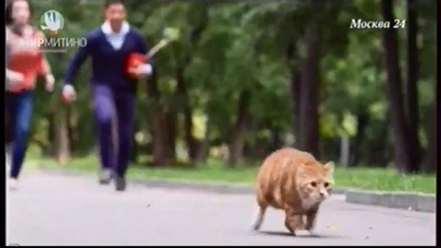 ЖК Мир Митино все хотят жить в мире, 495 357 11 77 3 смотреть онлайн