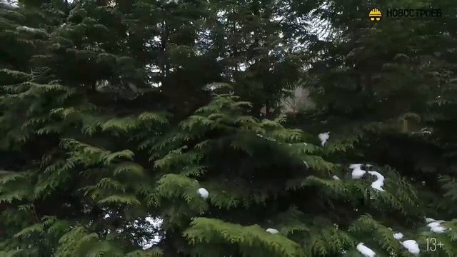 Отзывы о застройщике Группа Родина смотреть онлайн