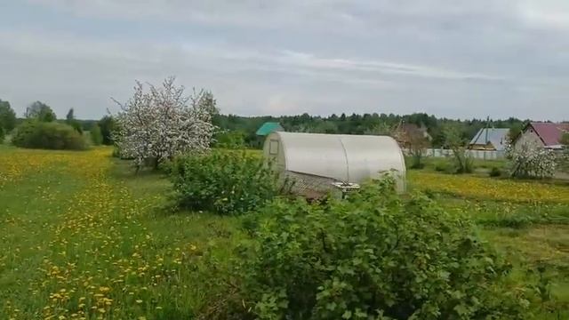 Деревня Логиново