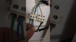 Как подключить индукционную варочную панель Haier