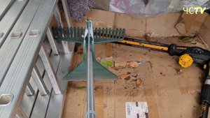 ТОП ИНСТРУМЕНТОВ ЧЕМ ОБРЕЗАТЬ ЖИВУЮ ИЗГОРОДЬ, КУСТЫ? МОЙ ОПЫТ. ПРИМЕРЫ.