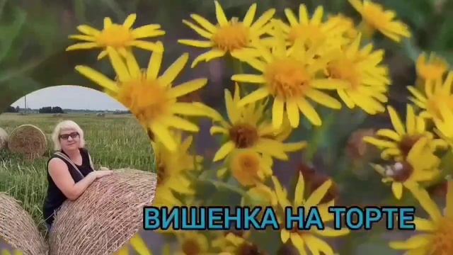 ДВЕ СВАРЛИВЫЕ БАБКИ. ANYANASTYA LIFE. ОБЗОР.