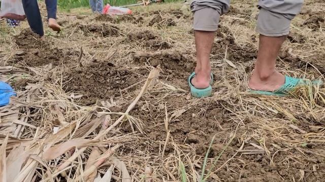 Police officer Nam's mother only appeared after the wedding because she did not agree смотреть онлайн