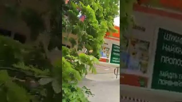 Дерево упало на ул.Светлой в Харькове - 19.05.2020 смотреть онлайн