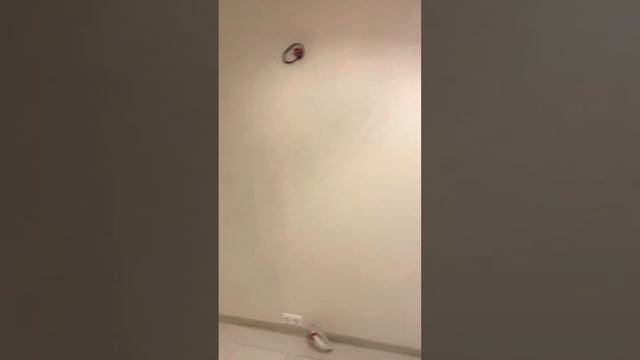 Продается 1-комн.квартира в ЖК Пехра! смотреть онлайн