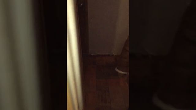 Квартира на Новогиреевской