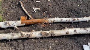 ТУАЛЕТ ШРЕКА СВОИМИ РУКАМИ