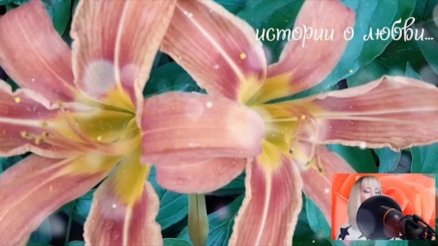 Благодаря вам я избавилась от плешивого карлика и смогу начать новую жизнь Истории любви до слез смотреть онлайн