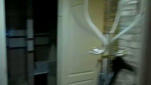 Посуточно квартиры в СПб, 1ккв на Седова 144