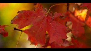 Мантра для восстановления потерянных сил. Мантра дающая энергию человеку.