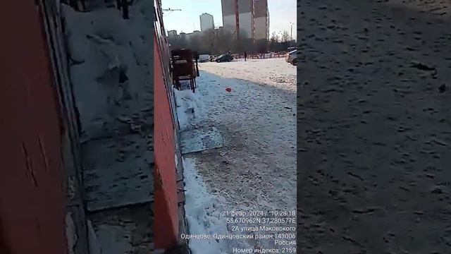 Свободный проход | Одинцовская Инициатива
