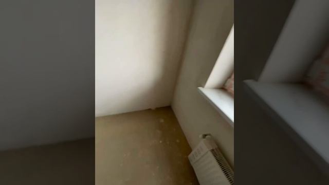 Квартира в Краснодаре Новая Адыгея Переезд на Кубань Подпишись #краснодарскийкрай #переездвкраснода
