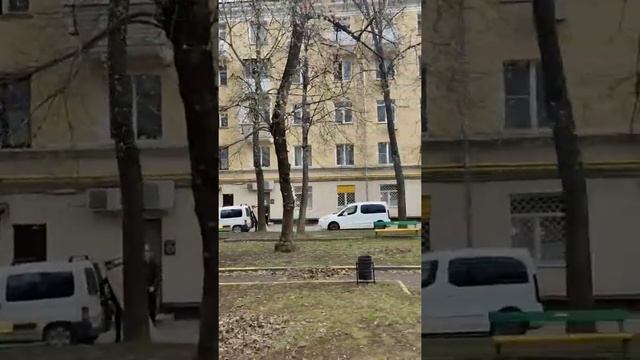 Возле дома 7к1 ул. Толбухина район Можайский ЗАО г.Москвы