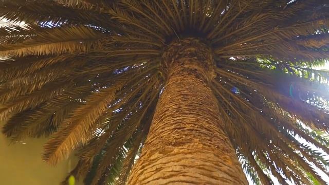 Новинка!!! АК Монтевиль🌴 Недвижимость Сочи 🌞