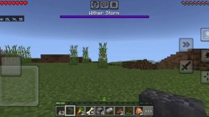 выживание в Майнкрафт с Визер штормом