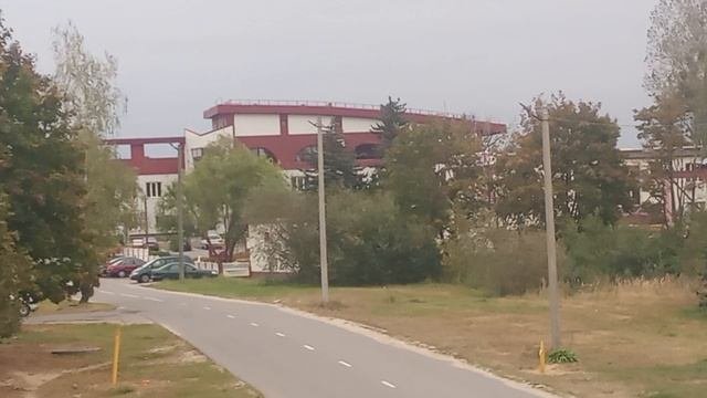Береза керамика 2024-10-02