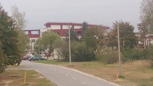 Береза керамика 2024-10-02