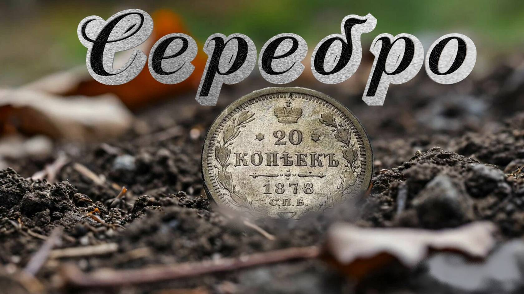 Нашёл серебряную монету на месте бывшей усадьбы, встретили лесных обитателей.