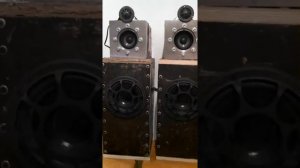 Focal Utopia Be 3W2 + DLS R6A LE