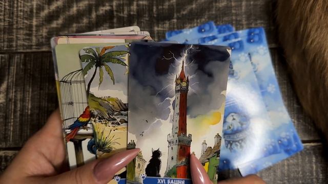 ТАРО КОТИКИ ТАРОГРАДА | РАСПАКОВКА И БЕГЛЫЙ ОБЗОР