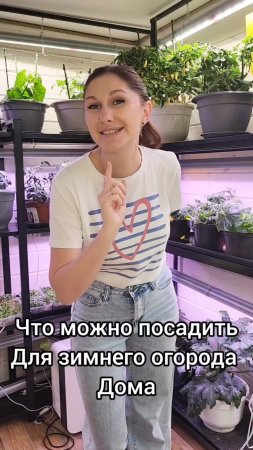 Что можно вырастить дома их огородных культур