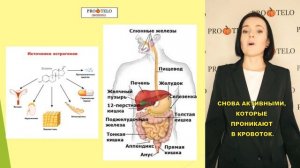 Как вылечить мастопатию за 1 месяц?