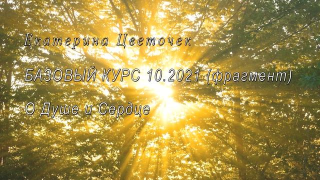 Базовый курс (фрагмент) 10.2021