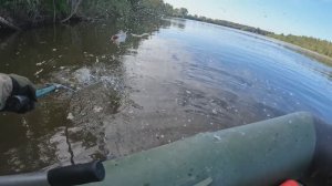 🎣ДЕНЬ УПУЩЕНЫХ ВОЗМОЖНОСТЕЙ🎣 🔺️ЧЕТВЕРТЫЙ СЕНТЯБРЬ 2024🔺️#сезонконтентаRUTUBE