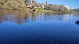 Подуст, голавль, рыбалка в конце октября.