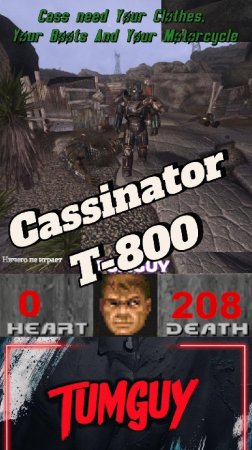 Cassinator #fallout #newvegas #falloutnv #tumguy