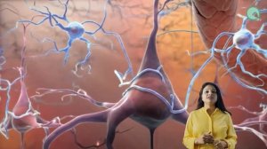 Understanding Autism: Myths, Facts, and the Future of Treatment with Regenerative Medicine