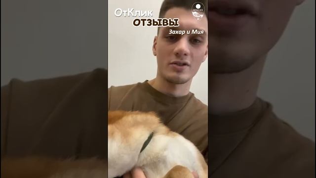 Отзыв от наших студентов Захара и Мии