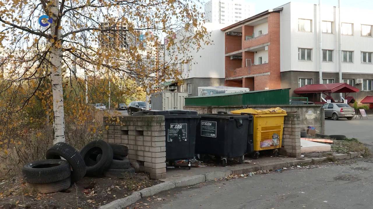 Масштабная кампания по дератизации началась в Петрозаводске