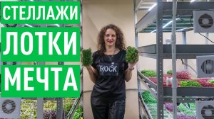 Как мать-одиночка построила бизнес на микрозелени