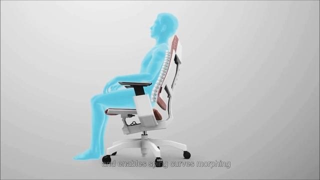 GENIDIA_High_END_Ergonomic_Office_Chair_2_Spine_Curves_Morphing_Capture