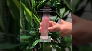 Гидропептид