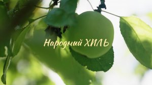 д/ф "Народный Хиль"