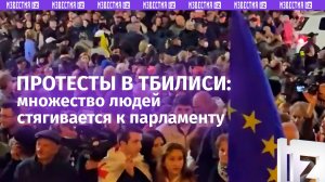 «Майдан по-грузински» пытаются устроить в Тбилиси из-за проигранных парламентских выборов