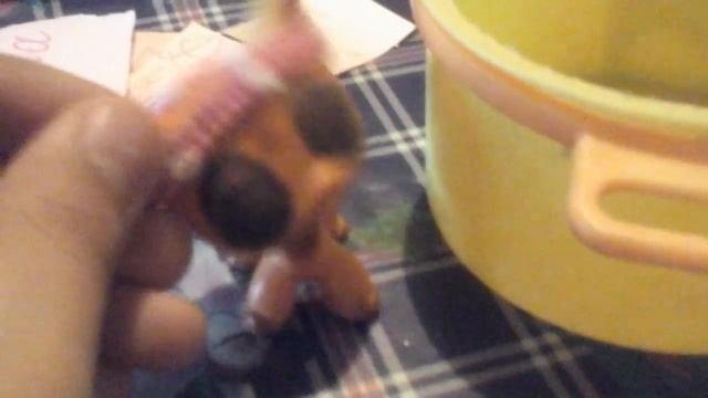 Выбираем новое имя стоячки Шарлотты и ее зовут . . . /; ) LPS smail смотреть онлайн