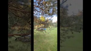 Продам ЖИЛОЙ ДОМ-БАНЮ  с ЗУ   д. Даймище, Гатчинский р-н, Ленинградской области.89214269147