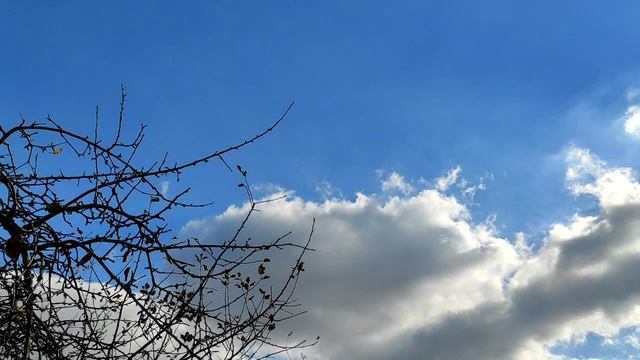 3 признака мужского самообмана в отношениях.