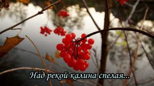 Над рекой калина спелая (Осока)