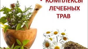 Презентация Компании NSP