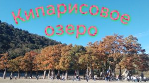 #Кипарисовое озеро